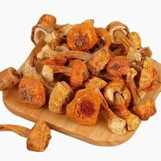 Buy Agaricus Blazei Murrill Mushrooms Online