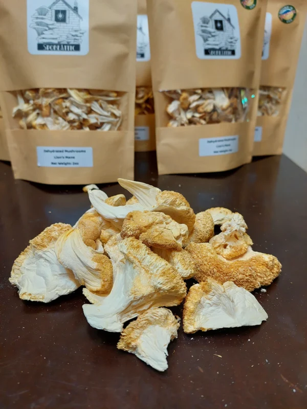 Buy Dried Lion’s Mane Mushrooms Online