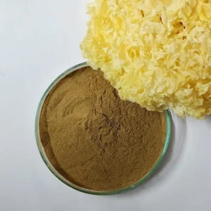 Buy Tremella Mycelium Powder Online