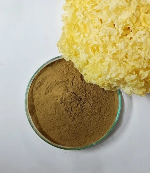 Buy Tremella Mycelium Powder Online