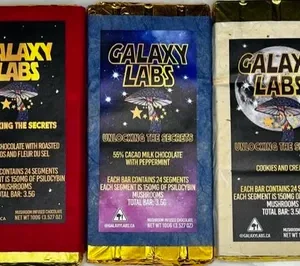 Galaxy Labs Mushroom Chocolate