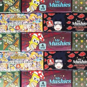 Mr Mushies Mushroom Chocolate Bar 4g