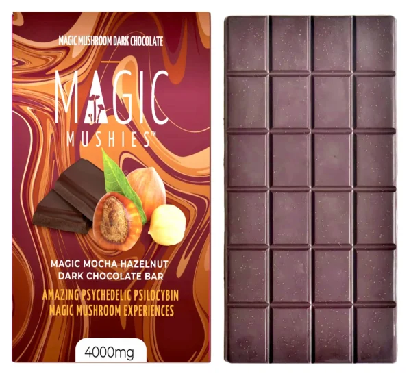 Magic Mushroom Mocha Hazelnut Dark Chocolate Bar | 4000 mg