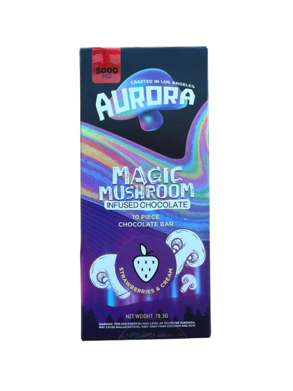 Aurora Magic Mushroom Infused Chocolate - Image 9