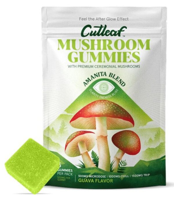 Cutleaf Mushroom Gummies Amanita Blend - Image 4