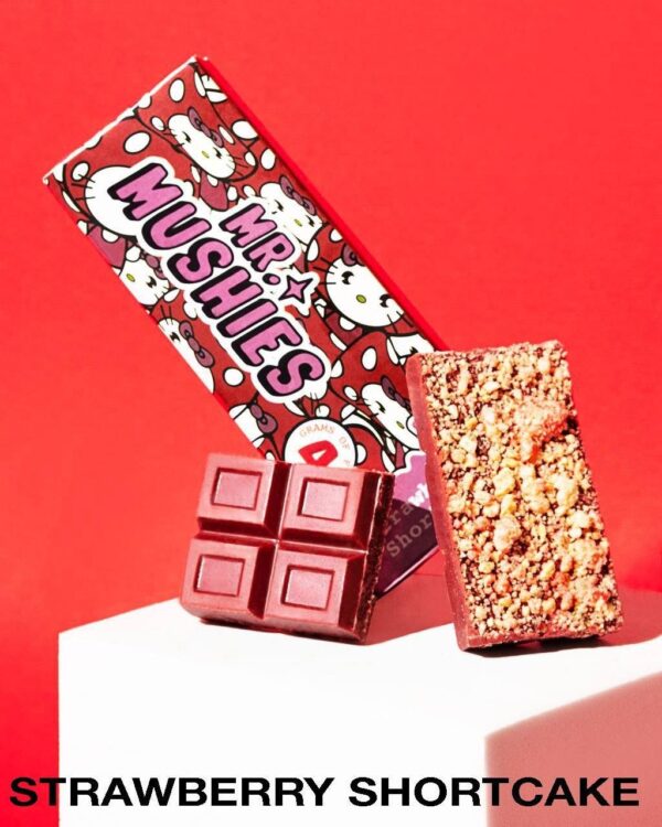 Mr Mushies Mushroom Chocolate Bar 4g - Image 3