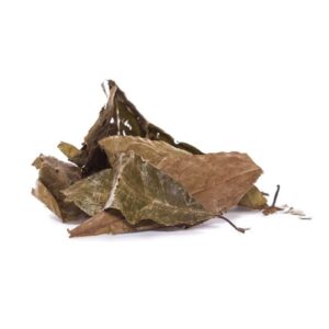 Diplopterys cabrerana (Chaliponga)