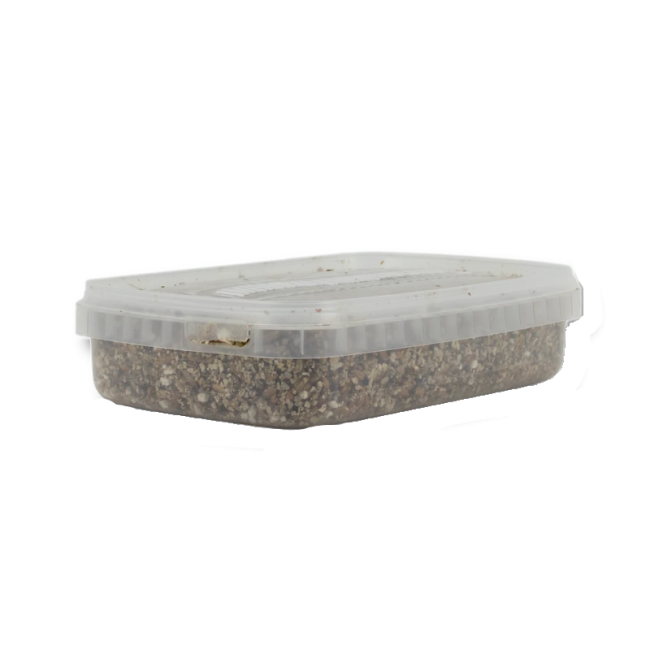 Sterile Magic Mushroom substrate for p. Cubensis Medium
